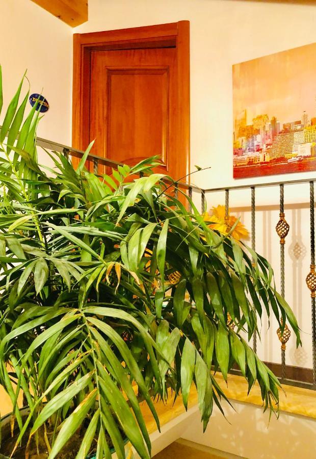 B&B Lemons Coast Четара Екстер'єр фото