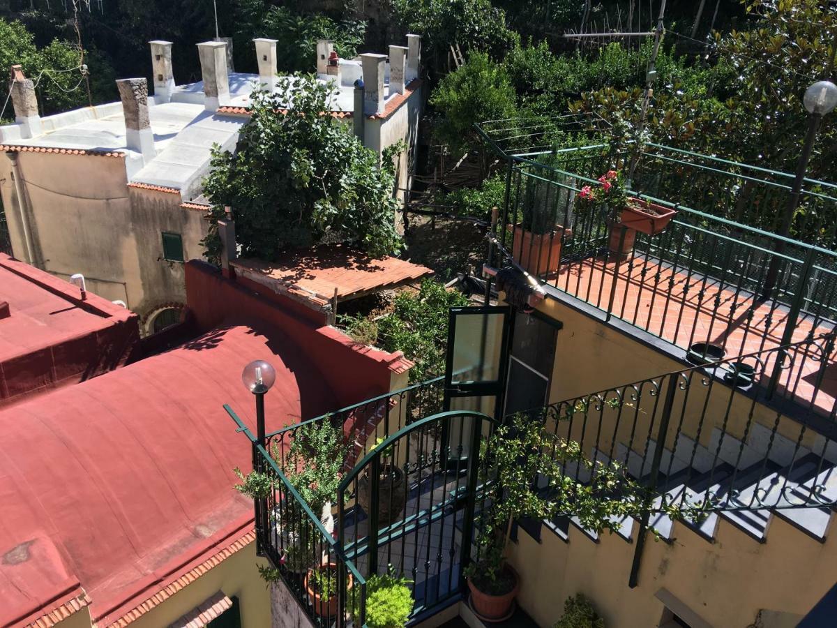 B&B Lemons Coast Четара Екстер'єр фото